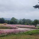 가산수피아 이미지