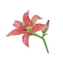 대정요양병원 이미지