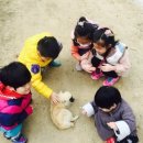 나경농장 이미지