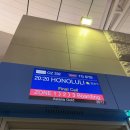 신라 Jeep | 알로하 1탄