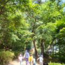 아차산유아숲체험장 네이버블로그