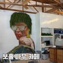 카페나무(cafe NAMU) | 시원하고 깔끔한 보홀 맛집, 식사부터 카페까지 가능! 빠니보틀도 방문한 &#39;나무카페&#39;