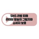 인정보시스템 | SNS 라방 피해 라이브 방송의 그림자와 소비자 보호
