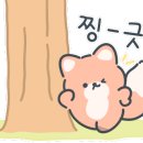 아이엠원 이미지