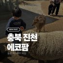 초평로2 | 아이가 너무 좋아했던 진천 에코팜｜동물체험 가능한 감성 농장 카페