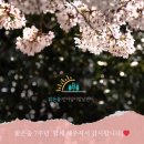 밝은숲