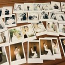 11650-16-169-30 | w-5 ) ONA 오앤에이 스튜디오 9월 촬영 후기, 아이폰 스냅, 사전 준비물, 부케, 드레스 후기