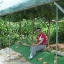 가산농장 이미지