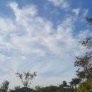 쿨펫동물병원 이마트검단점 | 인천에서 동물등록 신청하기(2023년)