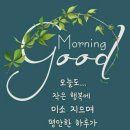 금토끼