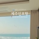 제주인포항 이미지