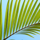 신선동행정복지센터 이미지