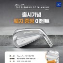 미즈노전주 이미지