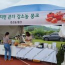 비바푸드트럭 이미지