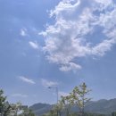 티바두마리치킨 소촌우산점 | 4월 일상 #1 (직장인,자취생,원룸인테리어,먹부림위주)