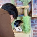 집사의 하루 건대점 | 집사의 하루 건대점 후기