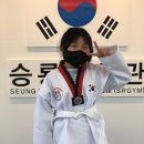 승룡태권도장 이미지