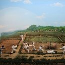 김종길 농장 이미지