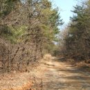 명곡동113 이미지