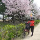 탄동천2 이미지