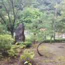 와촌가든 이미지