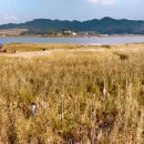 선우렌트카 이미지