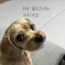 들숨