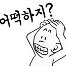 촌노의 정원민박 네이버블로그