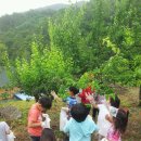 칠갑산농원 이미지