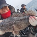 포항시남구장기면양포보건진료소 이미지