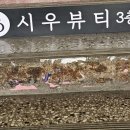 시우뷰티 이미지
