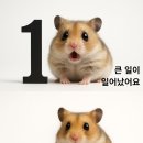 워시클럽 네이버블로그