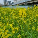 산청한방오리 이미지