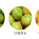 훈이네농장 이미지