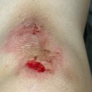 동작고려의원 이미지