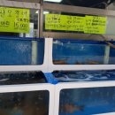 목동회수산 이미지