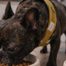 수노을동물병원 이미지