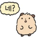심마니산약초백숙 이미지