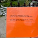 단지골 몽상가 이미지