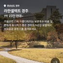 르노삼성자동차서비스코너경주점 | 라한셀렉트경주 예약 꿀팁! 패밀리트윈 조식 뷔페 수영장 사우나 경주5성급호텔