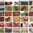 🇮🇹 이탈리아에서 만난 진짜 토마토의 맛 - 마세리아 미로갈로(masseria mirogallo) 토마토 크림 스프레드