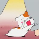 신기방기 이미지