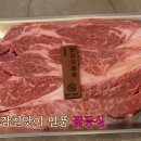 정육감