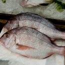 풍물시장입구 이미지