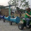 두꺼비 애견 이미지