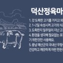 덕산정육마트