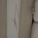 하리네집 이미지