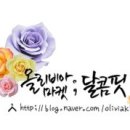 올리비아마켓