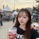 비어스카이 | 2026 강릉비어축제 후기 - 경포해변, 경포해변개장, 경포대, 강문해변, 강릉비치비어페스티벌