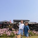 판판포포 이미지